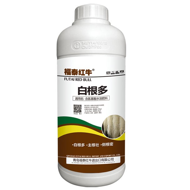 白根多1000ml*12瓶